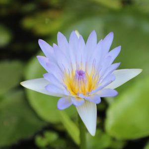 pexels-aksinfo7-12563582 4" x 6" High Quality Photo Prints