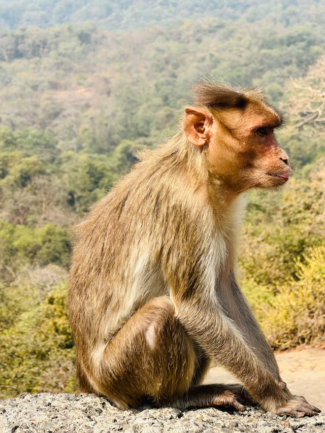 A4 - 8.27" x 11.69" High Quality Photo Prints - Image 4